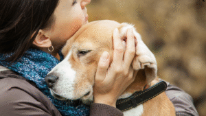 5 Steps In Teaching Your Dog The Quiet Command
