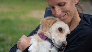 5 Steps In Teaching Your Dog The Quiet Command